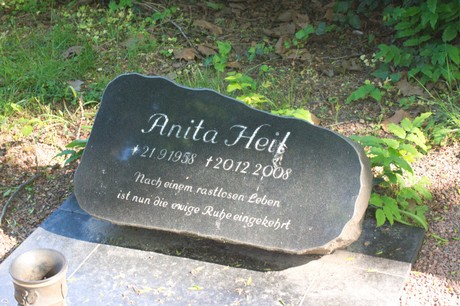 Buschbell