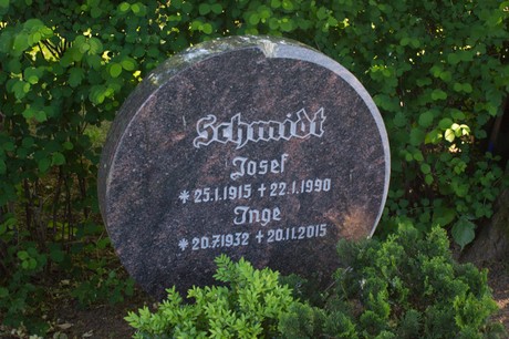 Buschbell