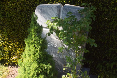 Buschbell