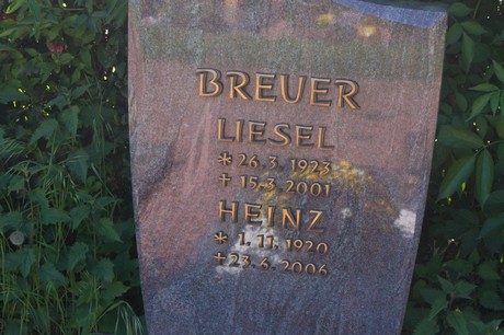Buschbell