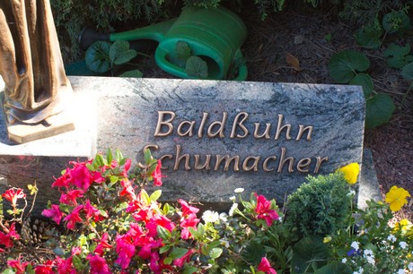 Buschbell