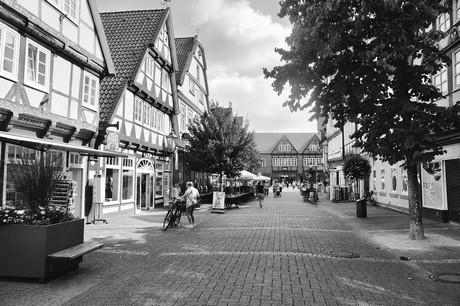 Celle
