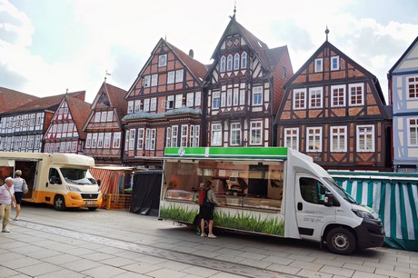 Celle
