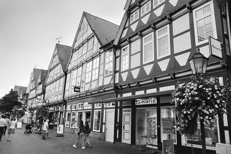 Celle