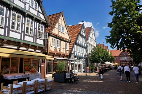Celle
