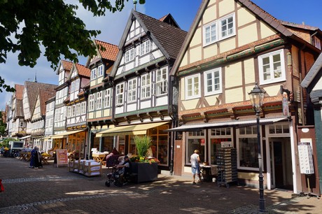 Celle