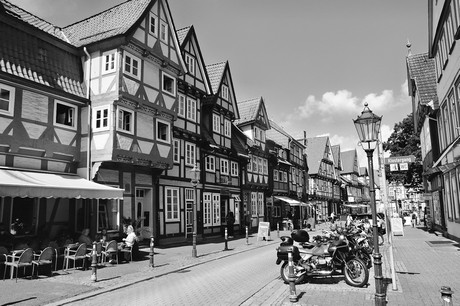 Celle