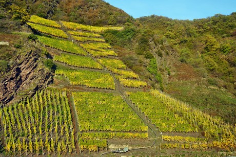 Cochem