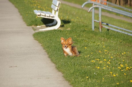 cuxhaven