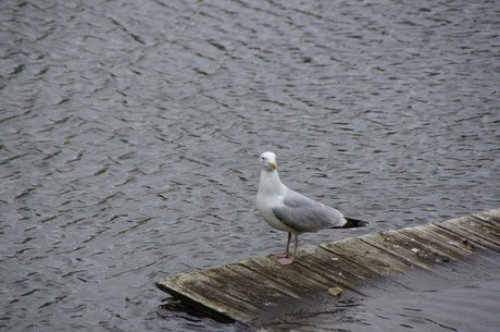 cuxhaven