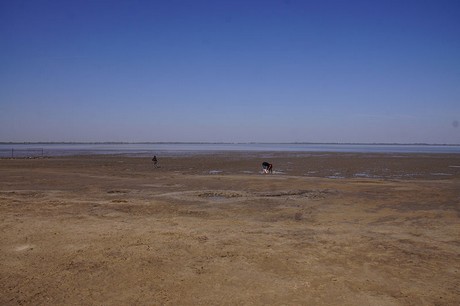 Dangast