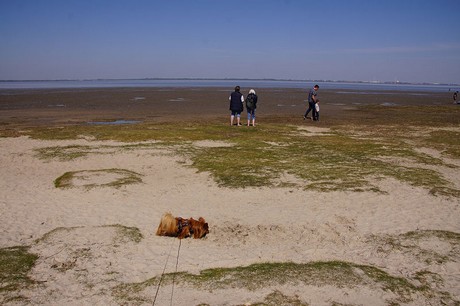 Dangast