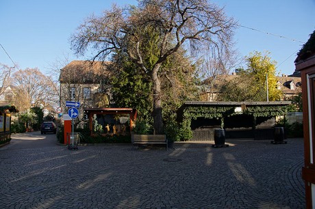 Deidesheim