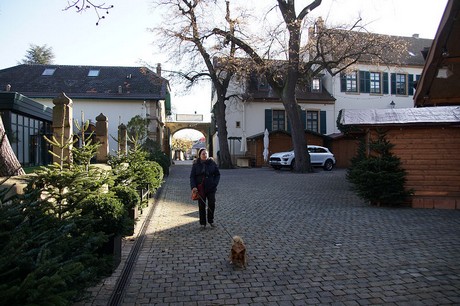 Deidesheim