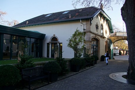 Deidesheim