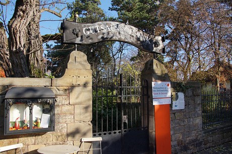 Deidesheim