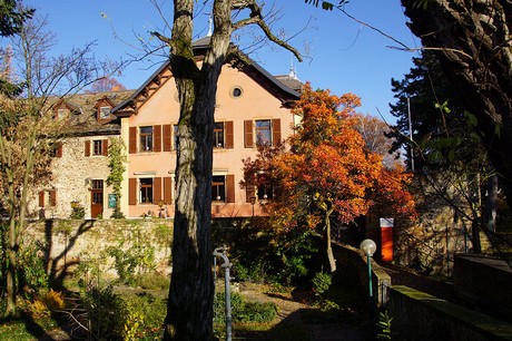 Deidesheim