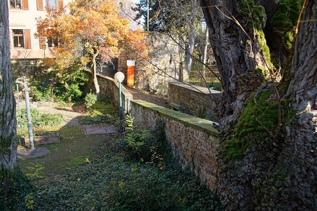 Deidesheim