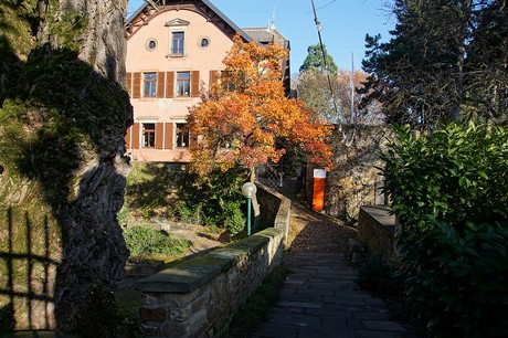Deidesheim