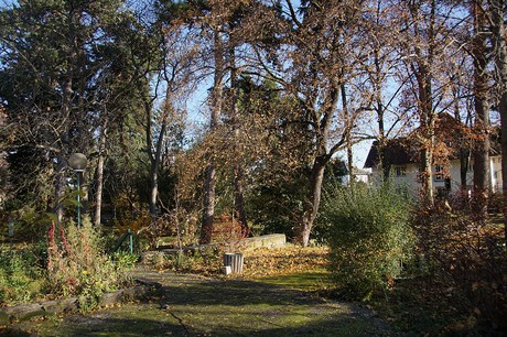 Deidesheim