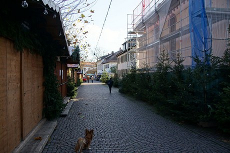 Deidesheim