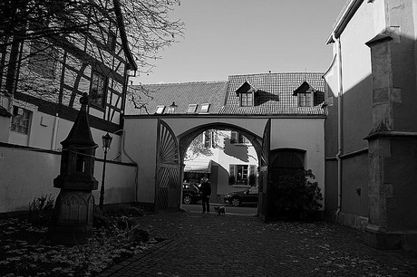 Deidesheim