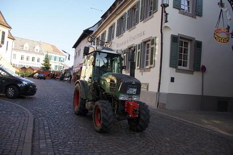 Deidesheim