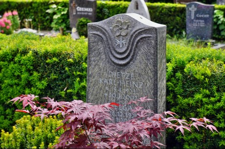 Delhoven