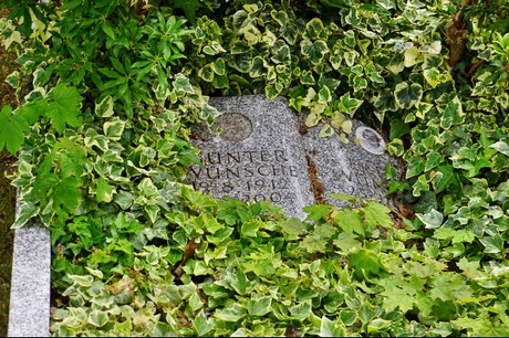 Delhoven