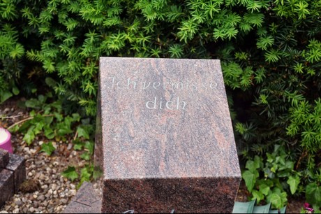 Delhoven