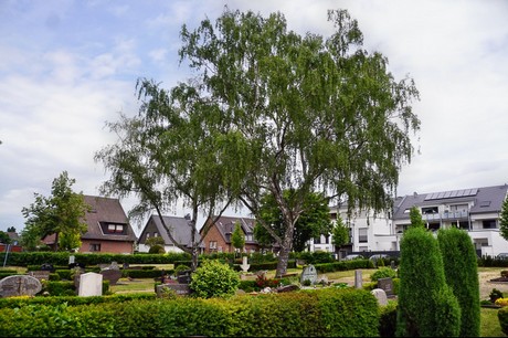 Delhoven