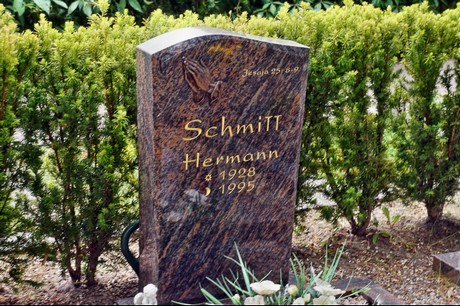 Delhoven