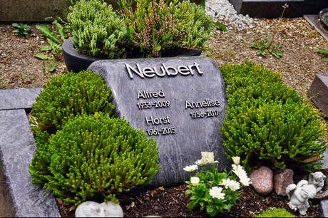Delhoven