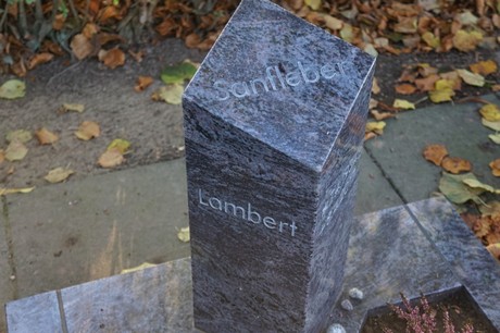 Derichsweiler