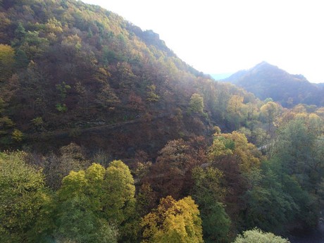 Dernau