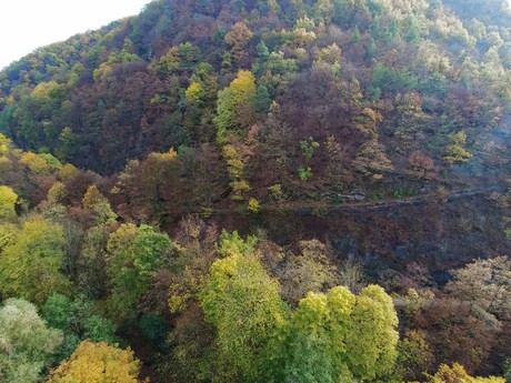 Dernau
