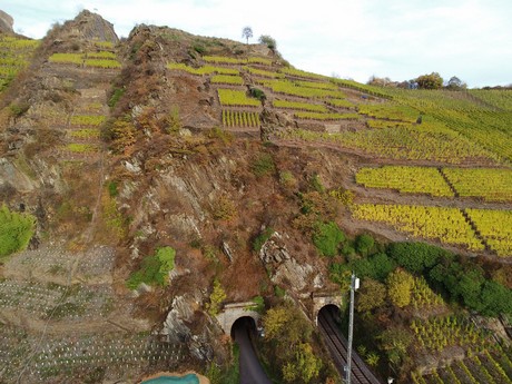 Dernau