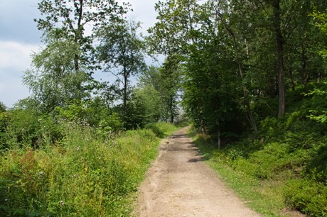 Detmold