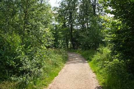 Detmold