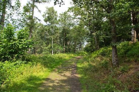 Detmold