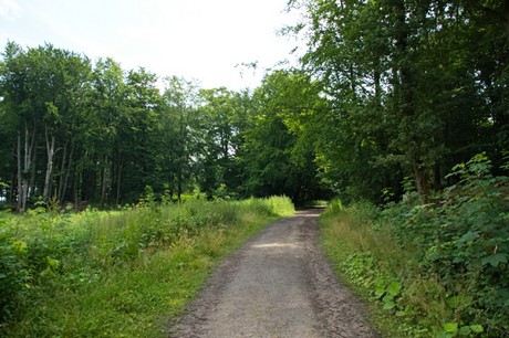 Detmold
