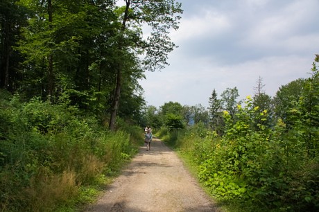 Detmold