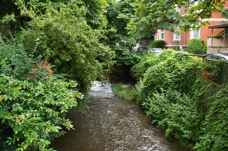 Detmold