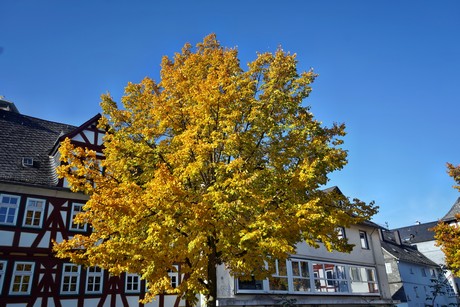 Dillenburg