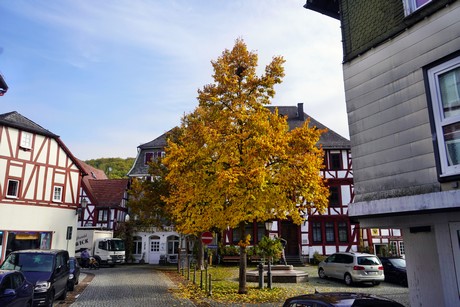 Dillenburg