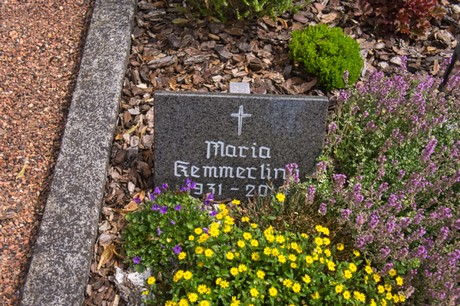 Disternich