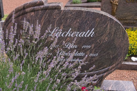 Disternich