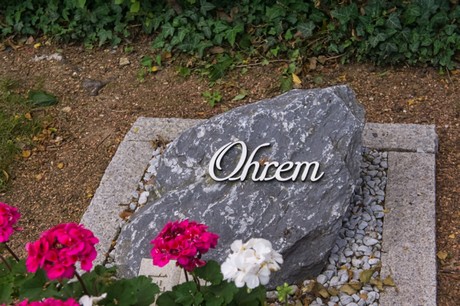 Disternich