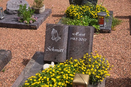 Disternich