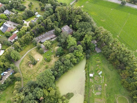 Disternich